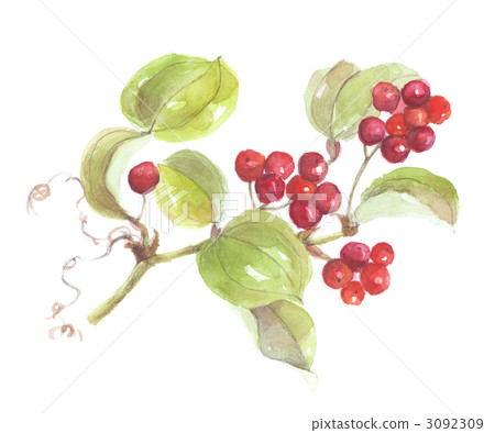 Sankei Ray Satellite Sankei Ray Satellite 3092309