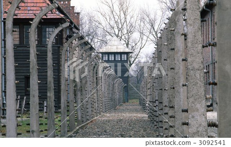 Auschwitz 3092541
