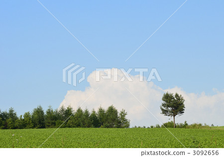 美瑛的夏日天空 3092656