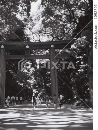 在明治神宮的陽光燦爛的日子 在明治神宮的陽光燦爛的日子 3092795