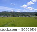 水稻 岡山 日本中國地方 3092954