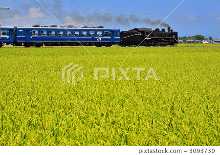 SL North Biwako C56160 Inaho Summer Anekawa Kamiki 3093730