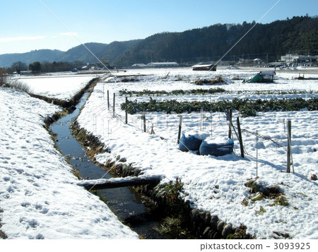 灌溉用水 積雪 下雪 3093925