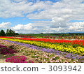 Fukayama通行證的一個花園 3093942