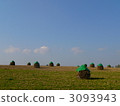 與Nio景觀 3093943