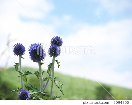 高原的高度 3094800