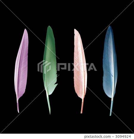 bird's feathers, feather, plumage 3094924