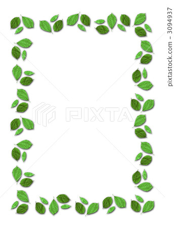 葉子 葉 樹葉 3094937