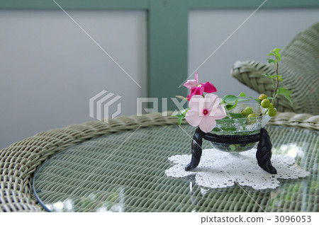 長春花 花道 插花 3096053