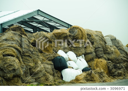 Grass roll Grass roll 3096971