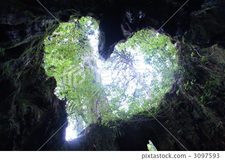 wilson stump, stock market, yamanaka 3097593