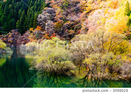 Midori湖的秋天 Midori湖的秋天 3098028