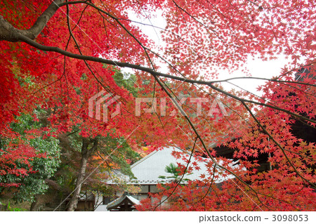 福納巴寺 福納巴寺 3098053