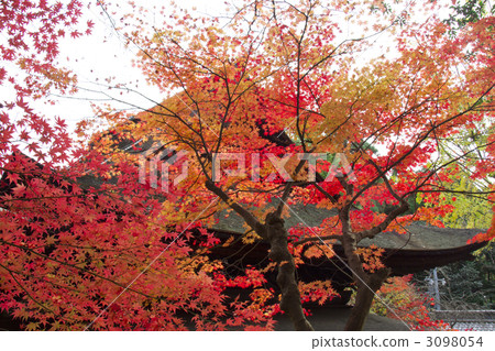 Funaba Temple 3098054