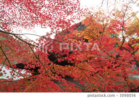 Funaba Temple 3098056