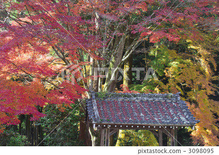 雲寺秋葉 3098095