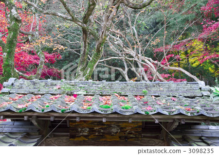 金浦永寺秋葉 3098235