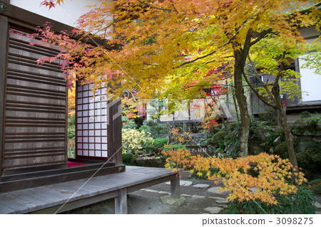 Kimpo Wing Temple Autumn leaves 3098275