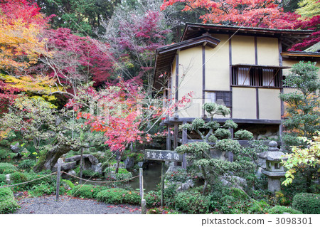 金浦永寺秋葉 金浦永寺秋葉 3098301