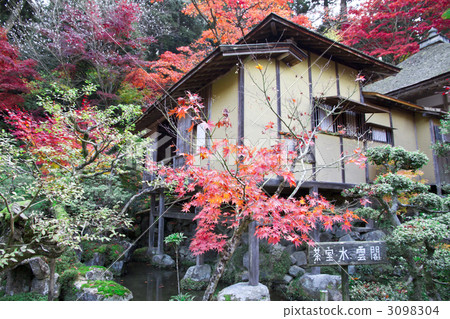 金浦永寺秋葉 金浦永寺秋葉 3098304