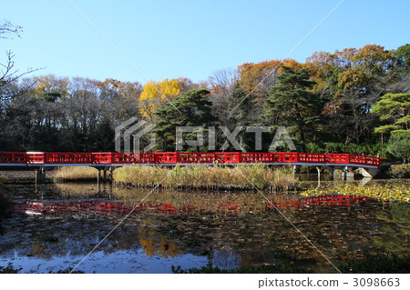 Iwatsuki Castle Ruins Park 3098663