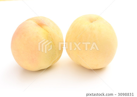 桃子 桃子 3098831