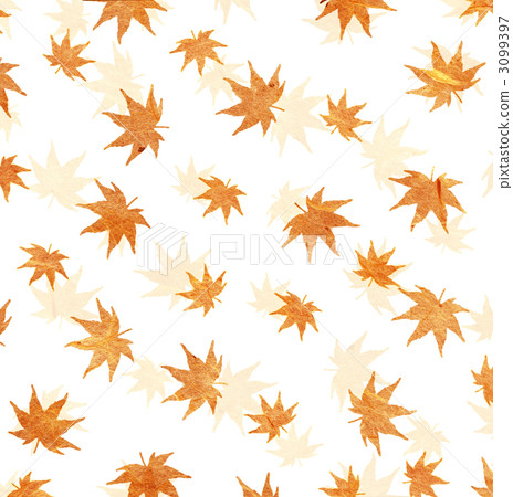 楓樹 紅楓 楓葉 3099397