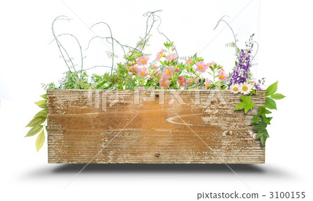 planter, montage, Mortage 3100155