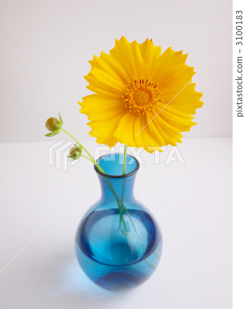 Quince and flower vase 3100183