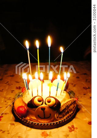 Panda cake Panda cake 3100844