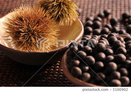 丹波栗子和黑豆 3100902