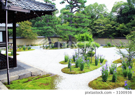 Kyoto Ryusanji, Genji garden 3100936