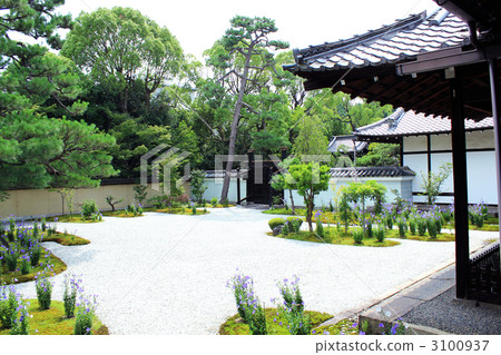 Kyoto Ryusanji, Genji garden 3100937