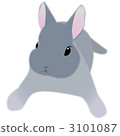 bunny, rabbit, illustration 3101087
