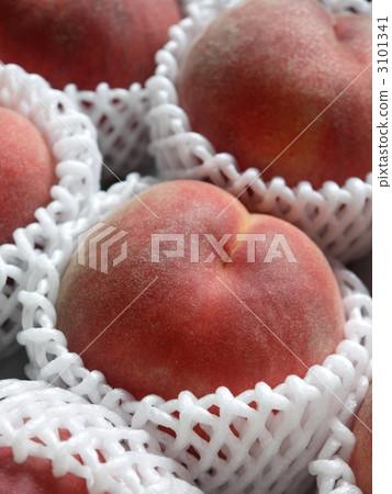 Rolling series thighs 3101341