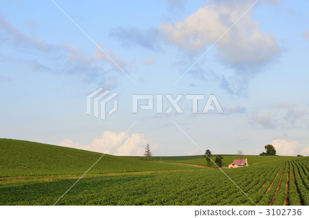 童話山 童話山 3102736