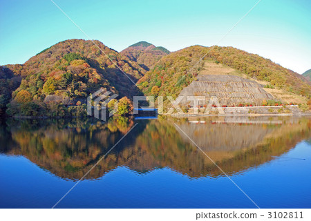 Autumn leaves of Lake Tanzawa 3102811