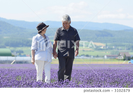 走在淡紫色領域的一對老夫婦 3102879