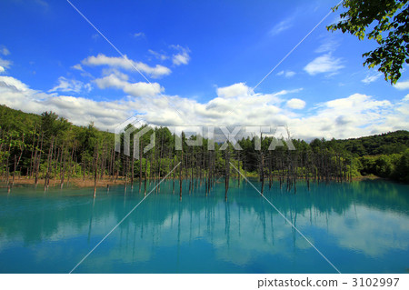Biei Shirokane Aoi Pond Biei Shirokane Aoi Pond 3102997