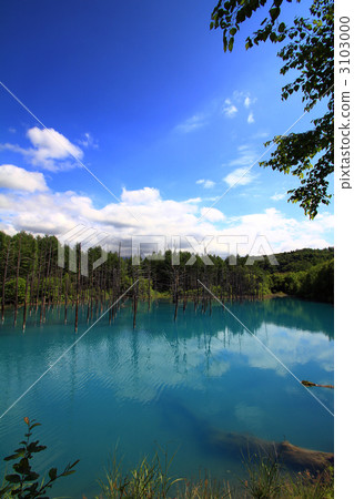 Platinum Beautiful Pond 3103000