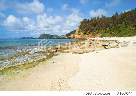chichi-jima, ogasawara islands, tokyo 3103044