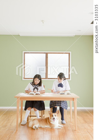 studying, person, child's room 3103335