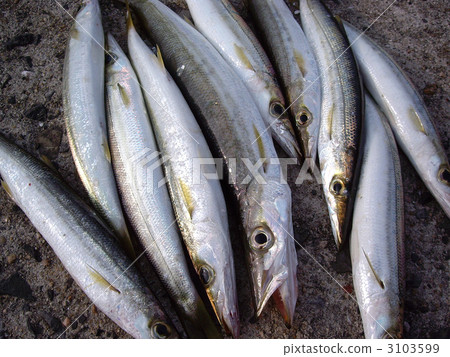 Akakamasu Akakamasu 3103599