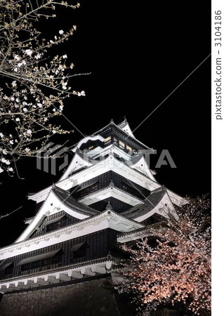 熊本城堡和夜櫻桃，垂直構成 3104186