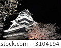 熊本城堡和夜櫻桃，景觀組成 3104194