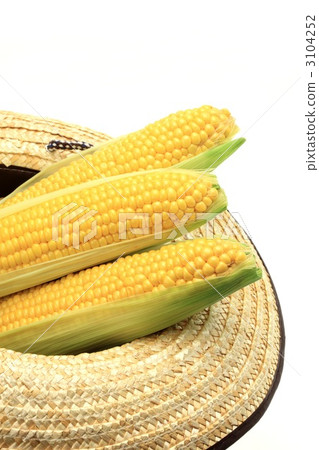 Corn in a straw hat Corn in a straw hat 3104252