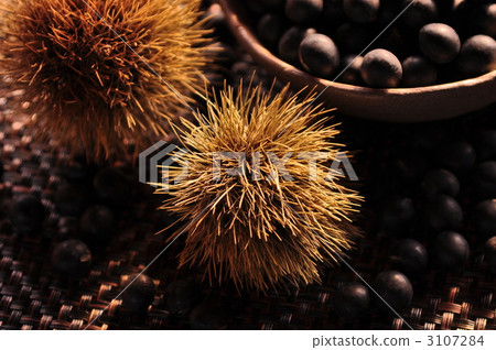 Black beans and chestnuts Black beans and chestnuts 3107284