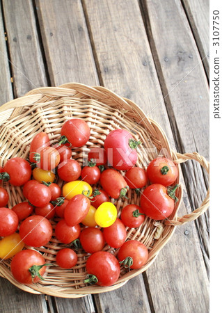 Irregularly sized cherry tomatoes grown without pesticides in a home garden 3107750
