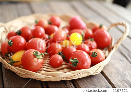 Irregularly sized cherry tomatoes grown without pesticides in a home garden 3107751