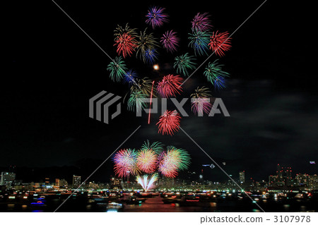 森日內庫 千菊花 明星我煙花 3107978